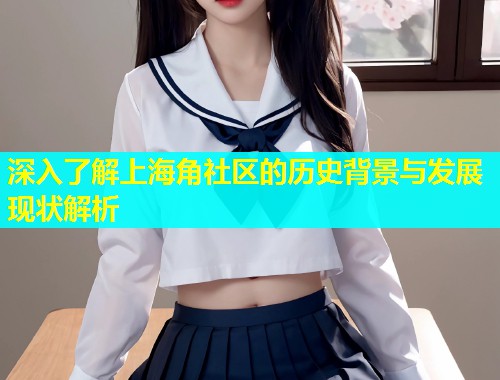 深入了解上海角社区的历史背景与发展现状解析