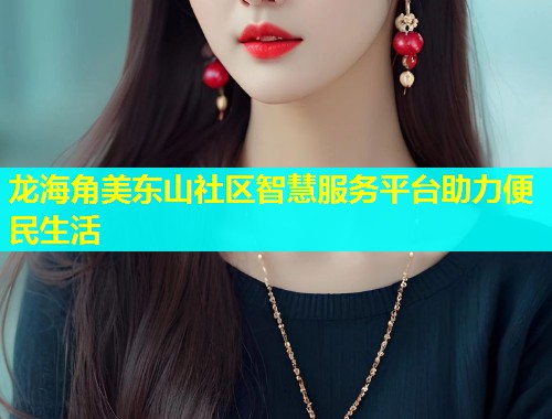 龙海角美东山社区智慧服务平台助力便民生活 龙海角美东山社区智慧服务平台助力便民生活